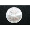 Image 1 : 2010 Silver Eagle $1