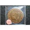 Image 1 : 2009 Texas Numistatic Assoc Inc. 51st Convention Medallion; Father of the Texas Navy-Samuel M. Willi