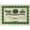 Image 1 : New York - Philadelphia Company.