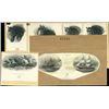 Image 1 : U.S., Hawaii. Vignettes Found on Early Hawaii Ban