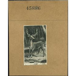 U.S. Animals - Early Vignettes Found on Obsolete