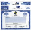 Image 1 : U.S. Internet Related Co. Stock Certificates (13).
