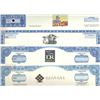 Image 2 : U.S. Internet Related Co. Stock Certificates (13).