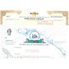 Image 2 : U.S. Colorful Modern Stock Certificates (5).