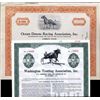 Image 1 : U.S. Horse Racing Stocks With Trotters (8).
