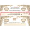 Image 2 : U.S. Race Horse Breeding Stock Assortment (11).
