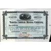 Image 1 : Arizona. U.S. Takoma Copper Mining Co. Proof.