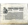 Image 1 : Delaware. U.S. Hercules Powder Co. Proof Stock.