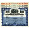 Image 1 : New Mexico. U.S. North American Copper Company.