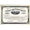 Image 1 : Texas. U.S. The Denison City Water Company.