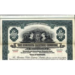 Hawaiian Electric Company Bond