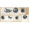 Image 1 : U.S. Horse Vignettes Used on Stocks & Bonds