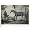 Image 1 : U.S. "Lecomte" Horse Racing Print