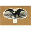 Image 1 : Utah. U.S. Eagle Proof Vignette with Bee Hive.