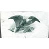 Image 1 : U.S. Eagle Vignettes Variations.