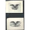 Image 2 : U.S. Eagle Vignettes Variations.