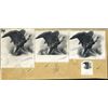 Image 1 : U.S. Eagle Vignette Study #2.