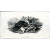 Image 1 : U.S. "Bear Fight" Proof Vignette.