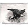 Image 1 : U.S. Eagle Vignette Printing Plate.