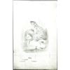 Image 1 : Frogs Vignette Printing Plate Used on Obsoletes