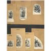 Image 2 : U.S. Sailor Proof Vignette Assortment (21).