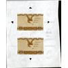 Image 1 : Essay Birth Certificate or I.D. Card Tyvek Paper