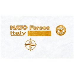 Nato Forces, Italy Gas Coupon Proof