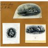 Image 1 : Proof Vignettes Used on Hawaiian Banknotes