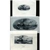 Image 1 : Royal Bank of Canada Proof Vignette Study