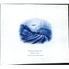Image 1 : China Yung Hung Banking Corp. Proof Vignettes (3)