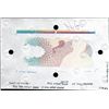 Image 1 : Tyvek Banco Central De Venezuela Production Proof