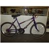Image 1 : Murray Explorer Bike 10 Speed Purple 24"