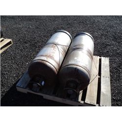 Pallet: Propane Tanks, 2X Money