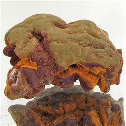 215ct Crystalized Coprolite Dinosaur Doo Cluster (MIN-001123)