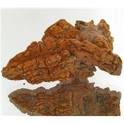 230ct Crystalized Coprolite Dinosaur Doo Cluster (MIN-001133)