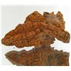 Image 1 : 230ct Crystalized Coprolite Dinosaur Doo Cluster (MIN-001133)