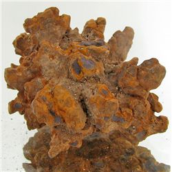 230ct Crystalized Coprolite Dinosaur Doo Cluster (MIN-001145)