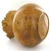 Image 2 : Afzelia Burl Handcarved Vase (DEC-538)