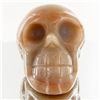 Image 1 : 1440ct Hand Carved Agate Skull (MIN-001714)