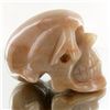 Image 2 : 1440ct Hand Carved Agate Skull (MIN-001714)