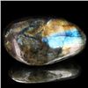 Image 1 : 1005ct Large Polished Rainbow Labradorite Cabochon (MIN-001649)