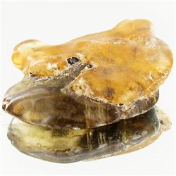 60ct Large Amber Chunk With Inclusions (MIN-001424)