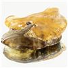 Image 1 : 60ct Large Amber Chunk With Inclusions (MIN-001424)