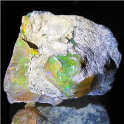 26ct Ethopia Opal Rough (GEM-45263)