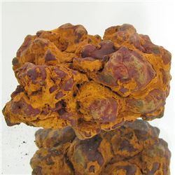 260ct Crystalized Coprolite Dinosaur Doo Cluster (MIN-001127)