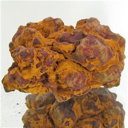 260ct Crystalized Coprolite Dinosaur Doo Cluster (MIN-001127)