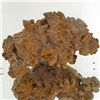 Image 1 : 160ct Crystalized Coprolite Dinosaur Doo Cluster (MIN-001143)