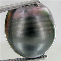 20.72ct Freeform Tahitian Black Pearl (GEM-45662)