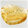 Image 1 : 60ct Large Amber Chunk With Inclusions (MIN-001453)