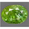 Image 1 : 1.64ct Oval Cut Bi - Color Paraiba Tourmaline (GEM-9175)